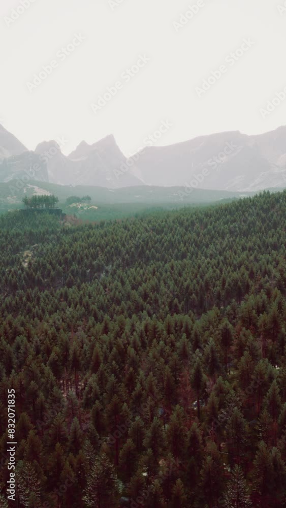 A view from above showcasing a dense forest with towering mountains in the background. A view from above showcasing a dense forest with towering mountains in the background.
