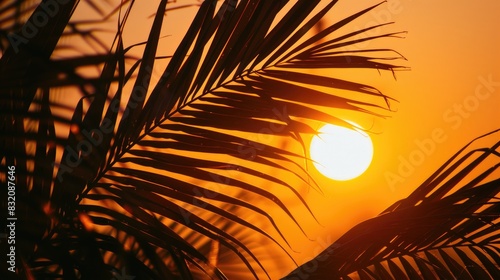 Silhouetted palm leaves against the setting sun photo