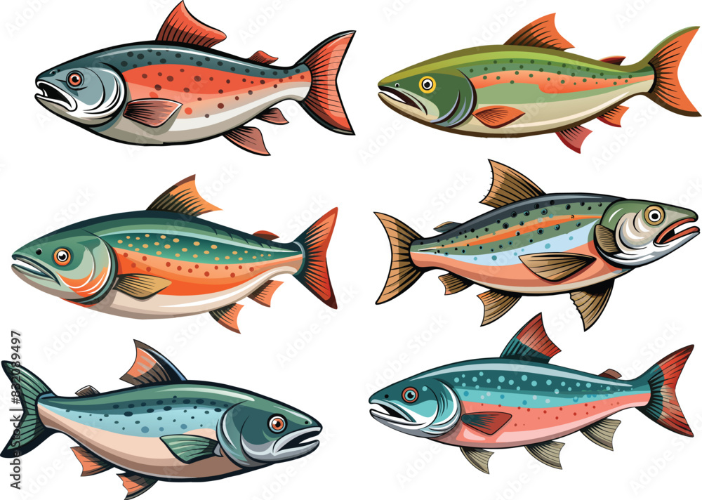 Wild Salmon Fish and Their Colors Wild Salmon Fish and Their Colors