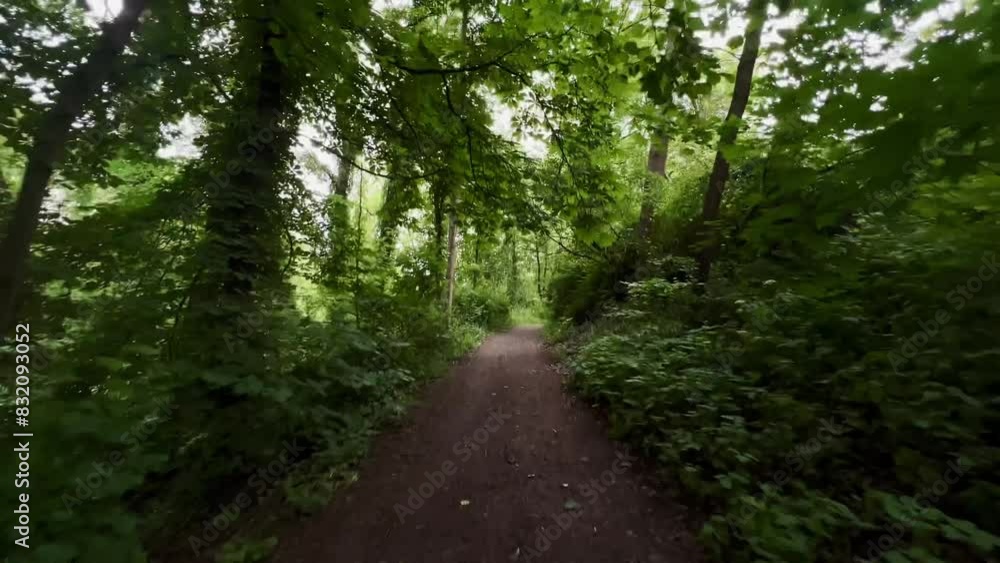 Walking on a dark pathway in a green park Walking on a dark pathway in a green park