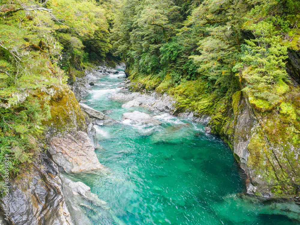 Blue River, West Coast, South Island, New Zealand, Pacific Blue River, West Coast, South Island, New Zealand, Pacific