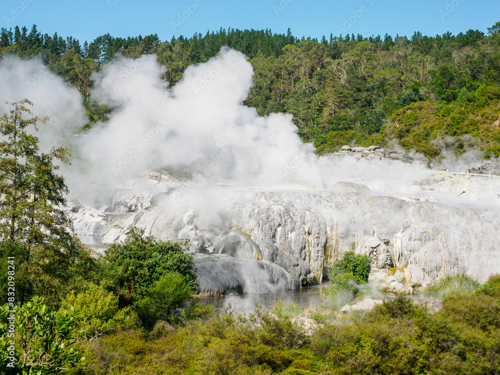 Geyser and steam vents at Te Puia, Gisborne District, North Island, New Zealand, Pacific Geyser and steam vents at Te Puia, Gisborne District, North Island, New Zealand, Pacific