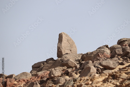 rock formation in the desert