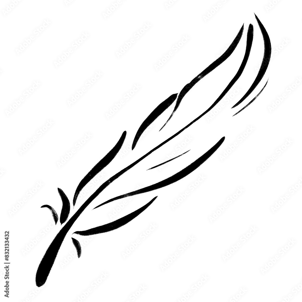 Fototapeta premium Feather png clipart, drawing illustration, transparent background