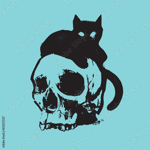 gatto nero su teschio 01