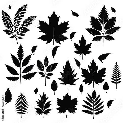 vector black leaf inked silhouettes set. vector isolated illustration of different leaves