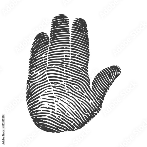 Engraved Palm Print: High Contrast, Detailed Texture, White Background