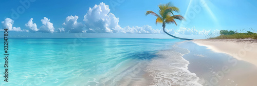 Tropical beach with clear blue water and a leaning palm tree under a bright sunny sky creating a perfect paradise getaway 