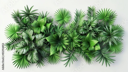 Lush green tropical leaves arranged beautifully against a light background  perfect for botanical and nature-themed projects.
