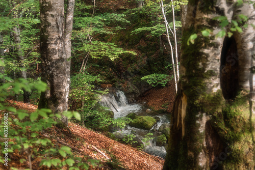 Waterfall Hike in Nature Park Golija Serbia photo