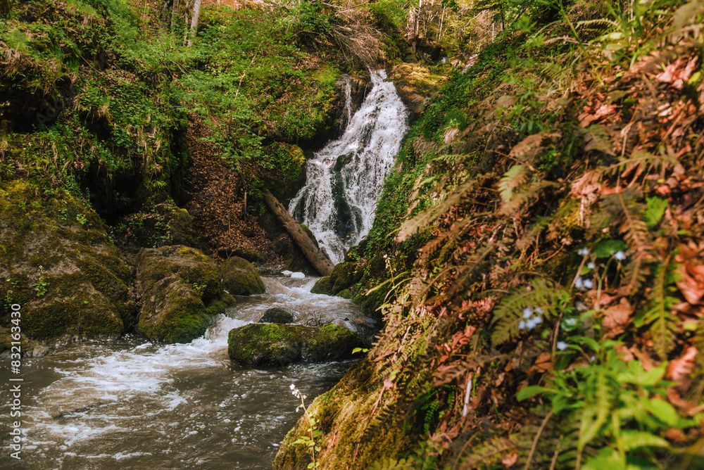 Landscape with Izubra Waterfall in Dense Forest Landscape with Izubra Waterfall in Dense Forest