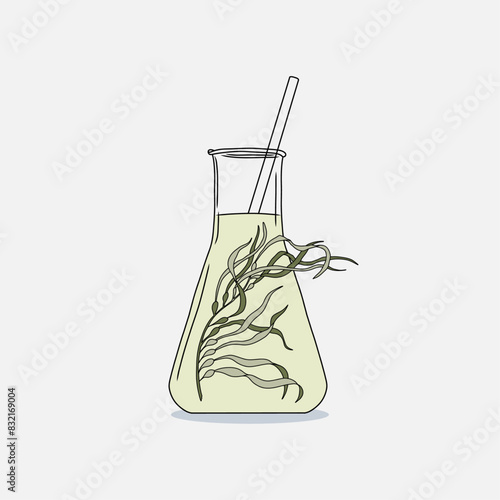 Hand drawn Erlenmeyer flask filled Giant kelp (Macrocystis pyrifera) algae and transparent liquid on a white background. Natural drawing graphic illustration