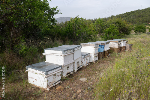 Beehives making fresh honey in the village, organic honey, village life, honeycomb, colorful beehives. © TAMER YILMAZ