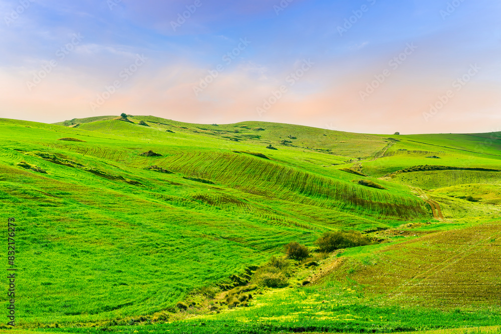 Fototapeta premium scenic view of beautiful rural landscape with green hills and fields with young grass and amazing cloudy sky on background