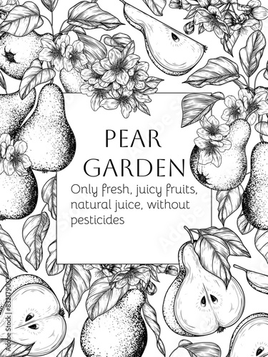 Vector frame of pear branch with fruits and flowers in engraving style
