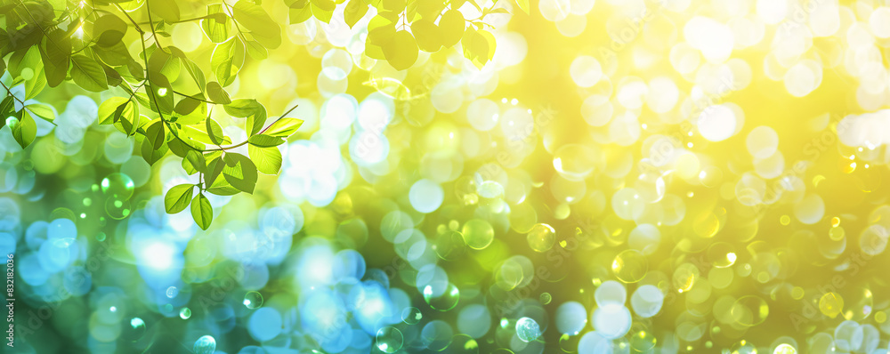 Fototapeta premium Abstract blurred background with sun and bokeh light effect in pastel green blue yellow color, spring summer nature landscape