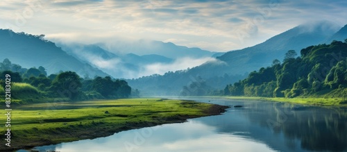 Misty Morning at Periyar Tiger Reserve. Creative banner. Copyspace image
