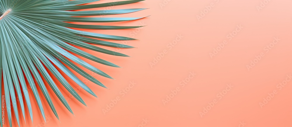Fototapeta premium Fan Palm Leaf on Coral colored fashion background Minimalism Creative summer concept Close up tropical fashionable plant on coral. Creative banner. Copyspace image