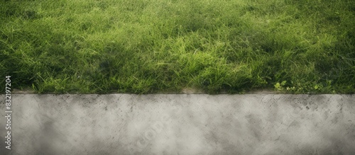 Wallpaper Mural Grass with cement floor texture. Creative banner. Copyspace image Torontodigital.ca