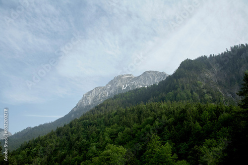 Wallpaper Mural A picturesque view of a mountain peak rising above a lush green forest under a sky streaked with wispy clouds. Torontodigital.ca
