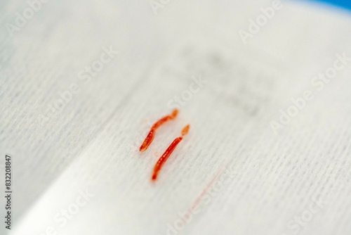 This is a close-up image of a textured paper with a red smear that resembles a bloodstain. photo