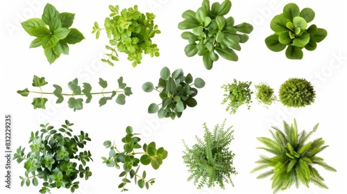 Various Types of Green Plants - Generative AI