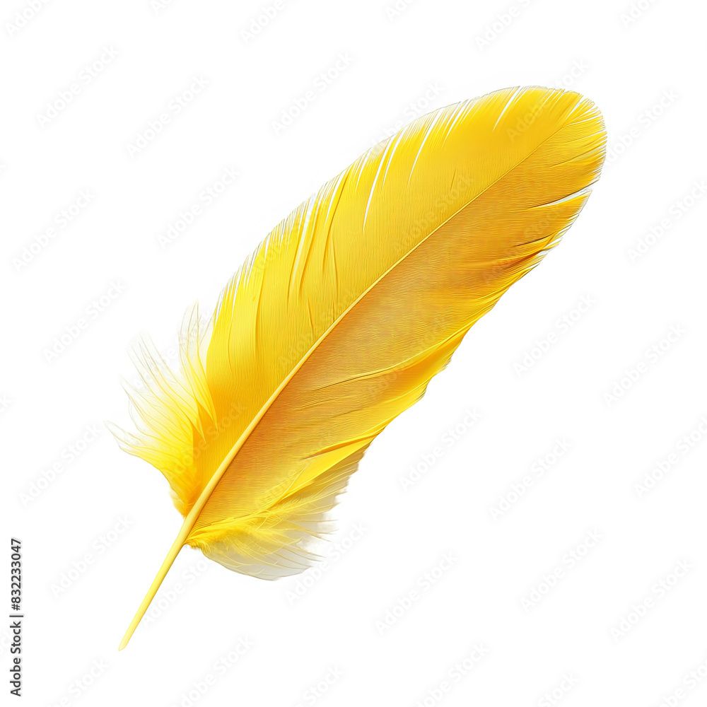 Yellow feather isolated on white background Yellow feather isolated on white background