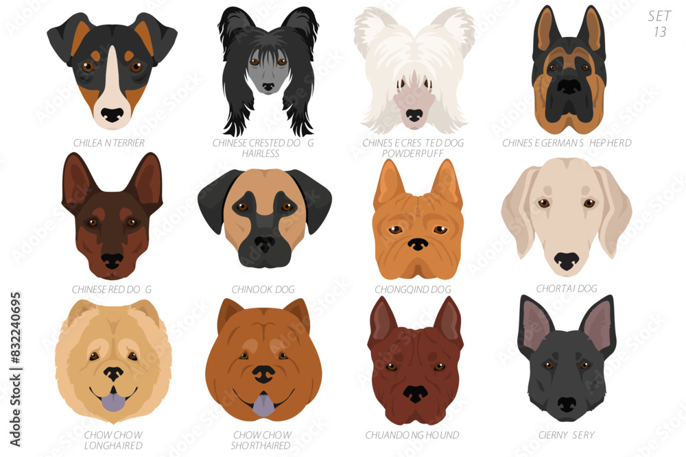 Dog head in alphabet order. All dog breeds. Colour vector design Dog head in alphabet order. All dog breeds. Colour vector design