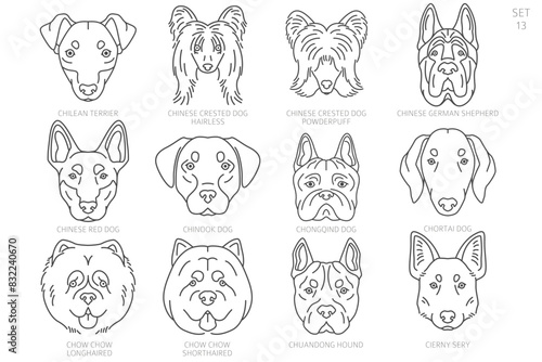 Dog head Silhouettes in alphabet order. All dog breeds. Simple line vector design.
