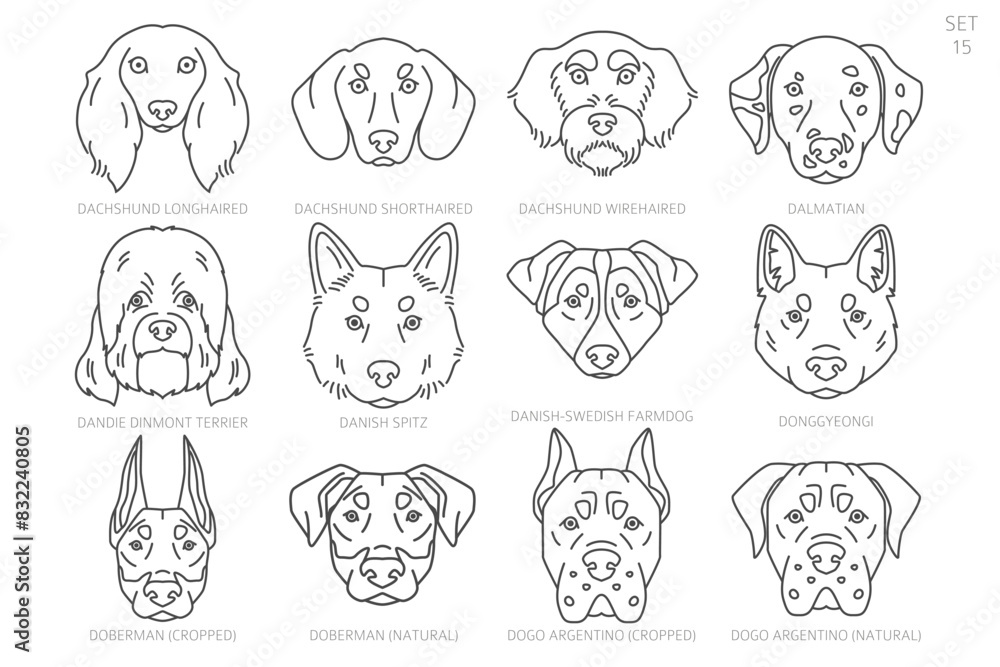 Dog head Silhouettes in alphabet order. All dog breeds. Simple line vector design.