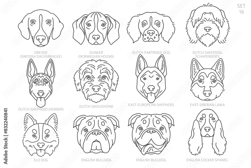 Dog head Silhouettes in alphabet order. All dog breeds. Simple line vector design. Dog head Silhouettes in alphabet order. All dog breeds. Simple line vector design.