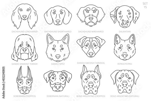 Dog head Silhouettes in alphabet order. All dog breeds. Simple line vector design.