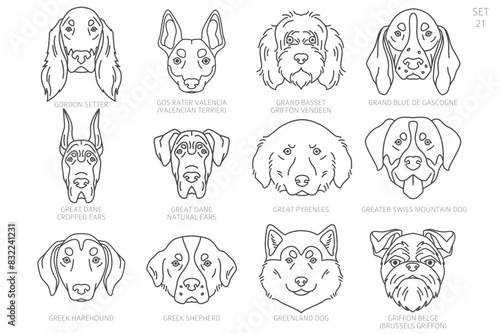 Dog head Silhouettes in alphabet order. All dog breeds. Simple line vector design.