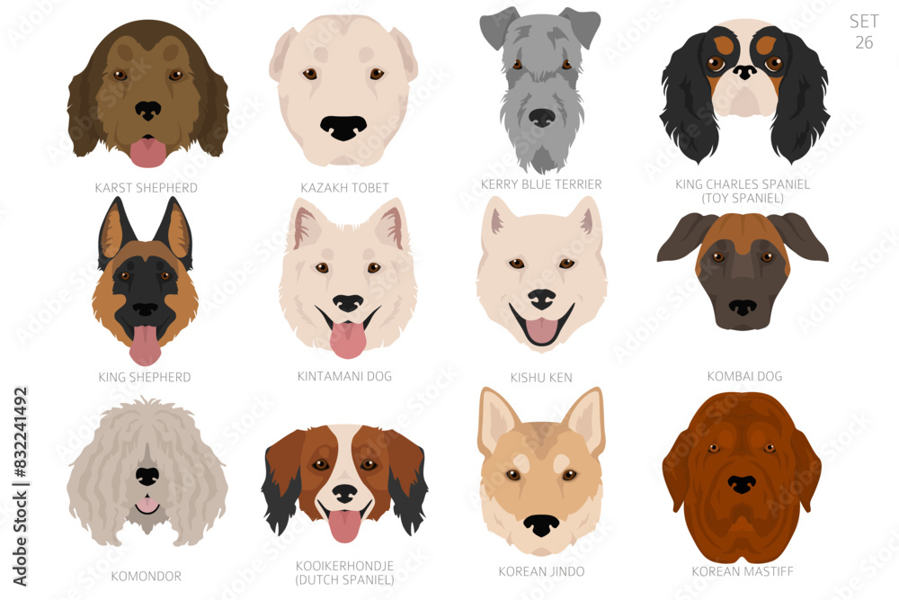 Fototapeta premium Dog head in alphabet order. All dog breeds. Colour vector design