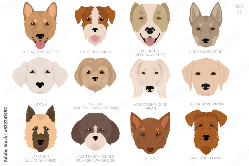 Dog head in alphabet order. All dog breeds. Colour vector design Dog head in alphabet order. All dog breeds. Colour vector design
