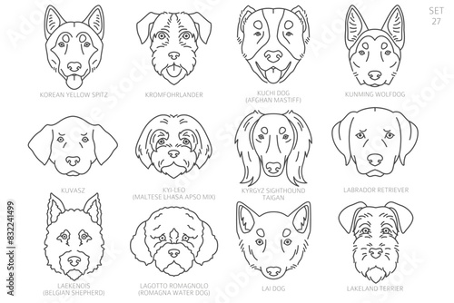 Dog head Silhouettes in alphabet order. All dog breeds. Simple line vector design