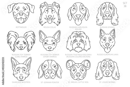 Dog head Silhouettes in alphabet order. All dog breeds. Simple line vector design