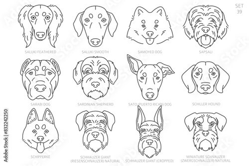 Dog head Silhouettes in alphabet order. All dog breeds. Simple line vector design