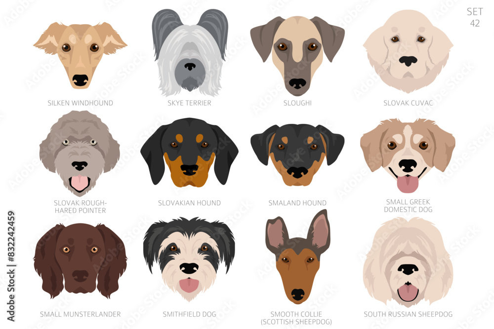 Dog head in alphabet order. All dog breeds. Colour vector design Dog head in alphabet order. All dog breeds. Colour vector design
