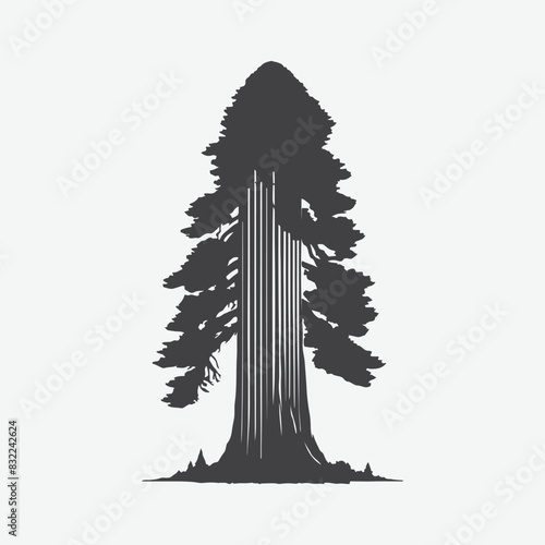 Print Majestic Redwood Tree Silhouette, Nature's Towering Masterpiece