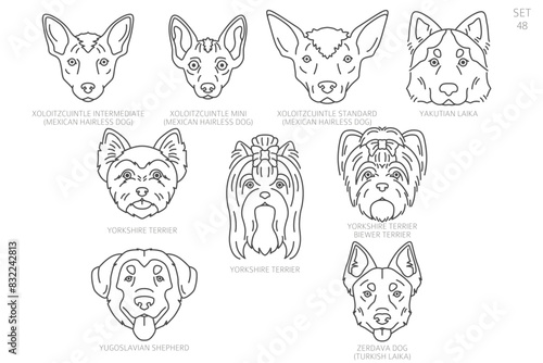 Dog head Silhouettes in alphabet order. All dog breeds. Simple line vector design