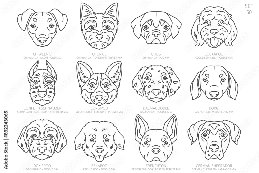 Designers Dog head Silhouettes in alphabet order. All dog mix breeds. Simple line vector design Designers Dog head Silhouettes in alphabet order. All dog mix breeds. Simple line vector design