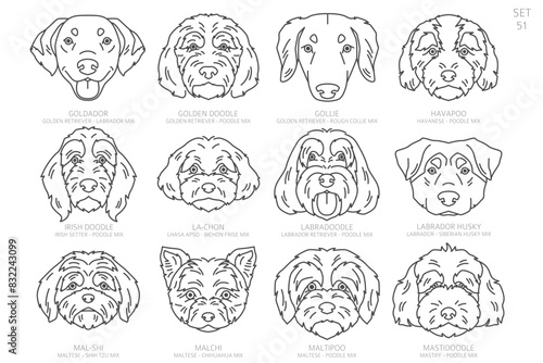 Designers Dog head Silhouettes in alphabet order. All dog mix breeds. Simple line vector design
