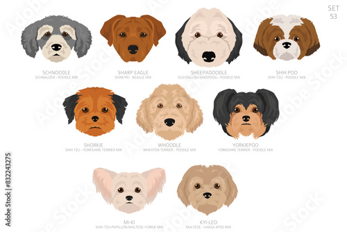 Designers Dog head in alphabet order. All dog mix breeds. Colour vector design photo