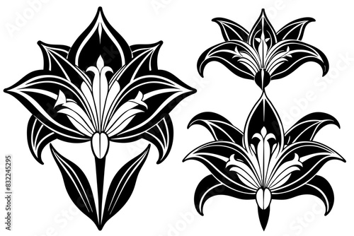 Set of black and white flower