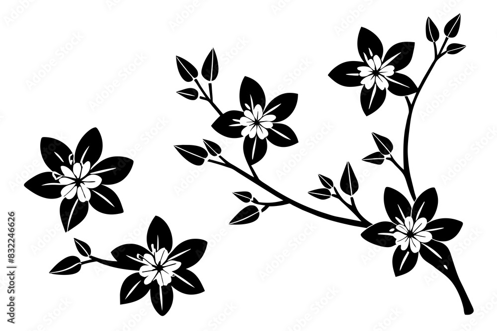 Black and white leaf and floral background