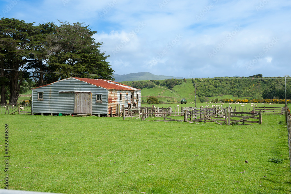 Corrugated shearing shed and yards in typical New Zealand rural area. Corrugated shearing shed and yards in typical New Zealand rural area.