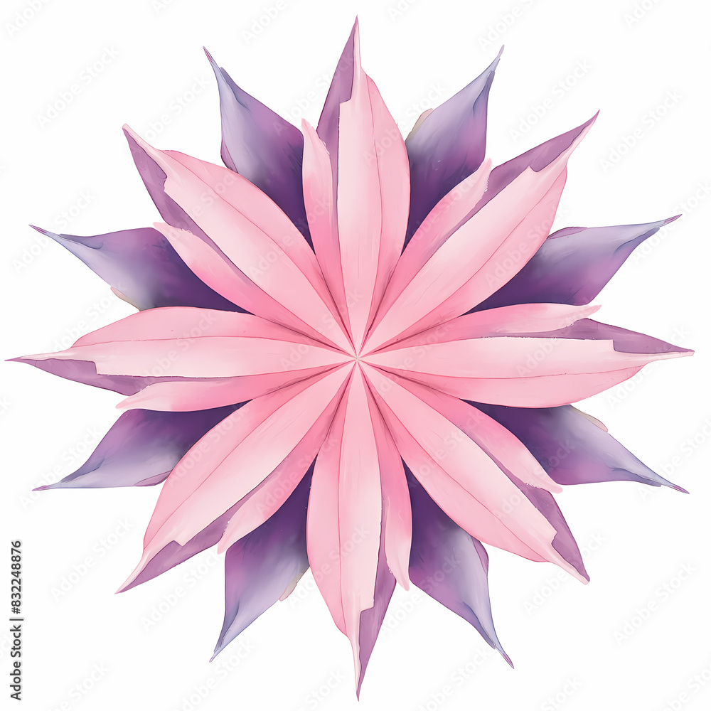 pink lotus flower isolated pink lotus flower isolated