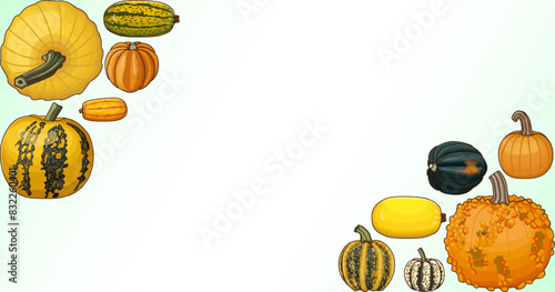 Rectangular banner with types of winter squash. Cucurbita pepo. Fruits and vegetables. Isolated vector illustration. Horizontal template. Clipart.