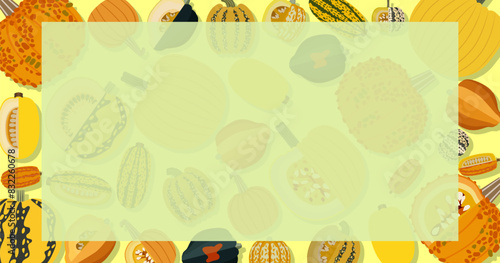 Rectangular banner with types of winter squash. Cucurbita pepo. Fruits and vegetables. Isolated vector illustration. Horizontal template. Flat style. photo